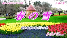 harunoyuki_small_No2.jpg