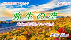yayoinosora_lage.jpg